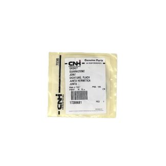 17289681, FPT O-Ring